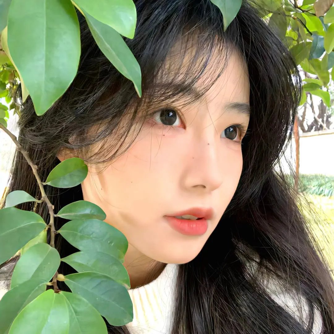 木头姑娘