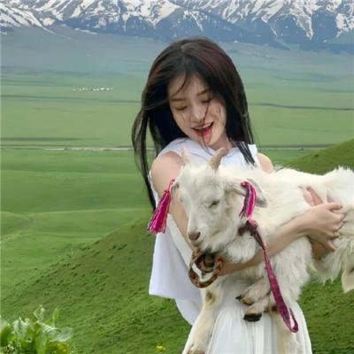 猫和老鼠50周年纪念版